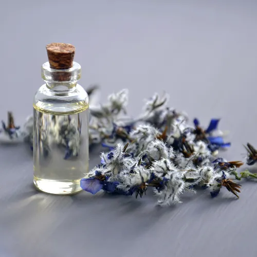 روغن اسطوخودوس